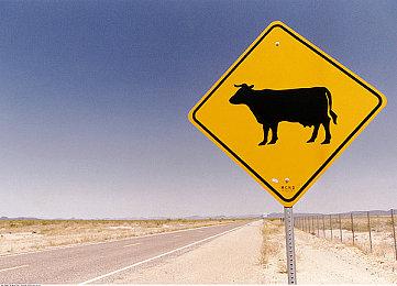 首款开放阴间题材SOC游戏《炭熄》现已登录Steam